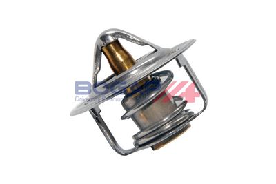 TERMOSTAT LICHID RACIRE