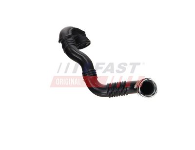 FURTUN EAR SUPRAALIMENTARE FAST FT01075 4