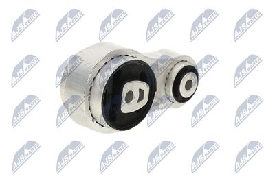 SUPORT MOTOR NTY ZPSFR025 21