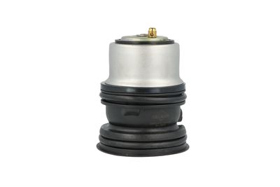 TERMOSTAT LICHID RACIRE NRF 725432 31