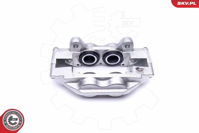 Brake Caliper 50SKV001