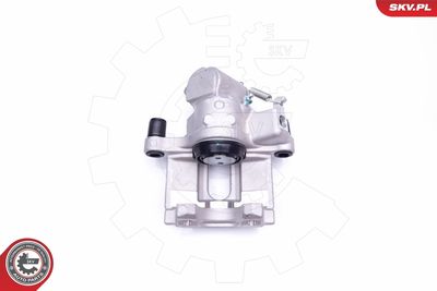 Brake Caliper 42SKV343