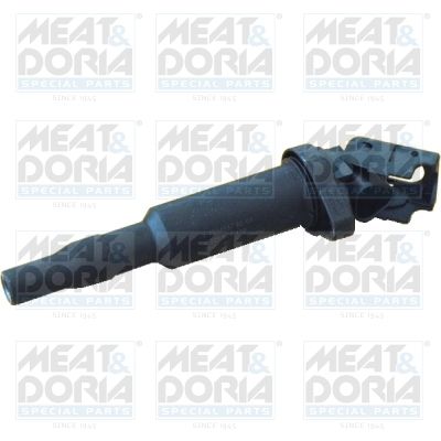 Ignition Coil 10530