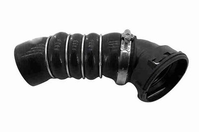 FURTUN EAR SUPRAALIMENTARE