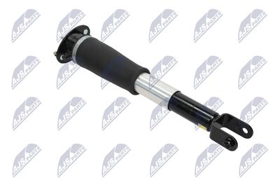 AMORTIZOR NTY ACH007 11