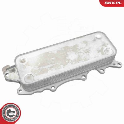 RADIATOR ULEI ULEI MOTOR ESEN SKV 31SKV325 1