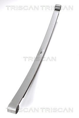 Paket pružin TRISCAN 8765 23017