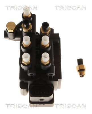 COMPRESOR INSTALATIE AER COMPRIMAT TRISCAN 872529203 2