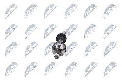 PLANETARA NTY NPWFR076 16