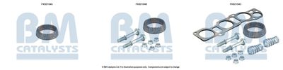 Монтажен комплект, катализатор BM Catalysts FK92154