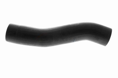 FURTUN EAR SUPRAALIMENTARE ACKOJA A529600 1