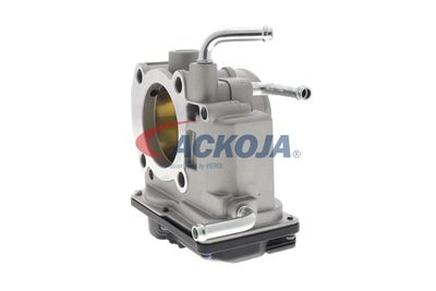 CARCASA CLAPETA ACKOJA A70810007 44