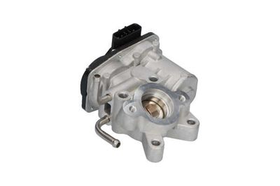 SUPAPA EGR Kavo Parts EEG8003 25