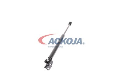 AMORTIZOR PORTBAGAJ ACKOJA A520093 51