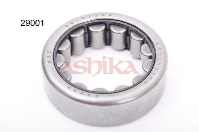 Rato guolio komplektas