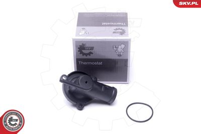 TERMOSTAT LICHID RACIRE