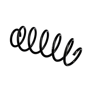ARC SPIRAL EIBACH R10255 21