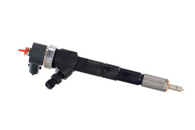 INJECTOR REMANTE 002003001674R 42