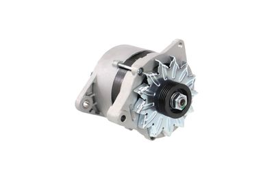 GENERATOR / ALTERNATOR REMANTE 011003000065R 55