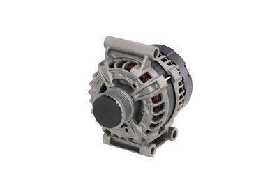 GENERATOR / ALTERNATOR REMANTE 011003000029R 6