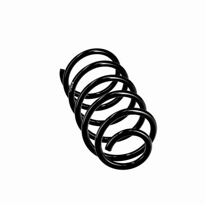 ARC SPIRAL EIBACH R10814 12