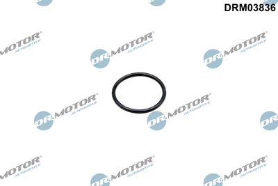 Dr.Motor Automotive Tarpiklis, aušinimo skysčio vamzdelis