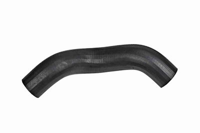 FURTUN EAR SUPRAALIMENTARE