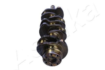 ARBORE COTIT ASHIKA 18MI003 1