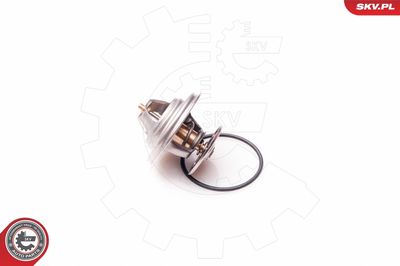 Thermostat, coolant 20SKV048