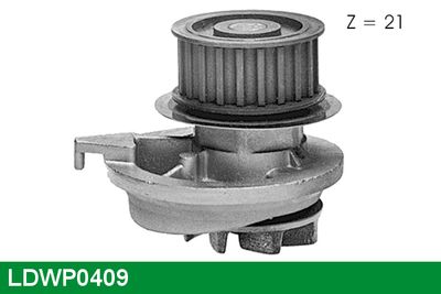 POMPă DE APă RăCIRE MOTOR