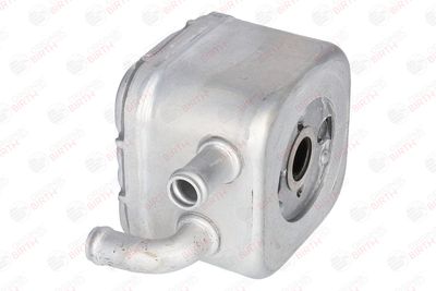RADIATOR ULEI ULEI MOTOR BIRTH 80045 11
