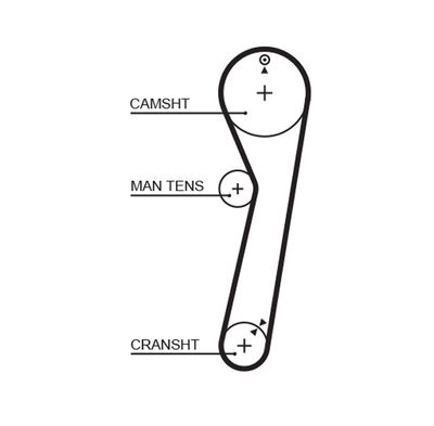 Timing Belt GATES 5029