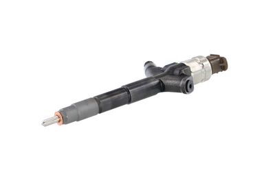 INJECTOR REMANTE 002003002080R 65