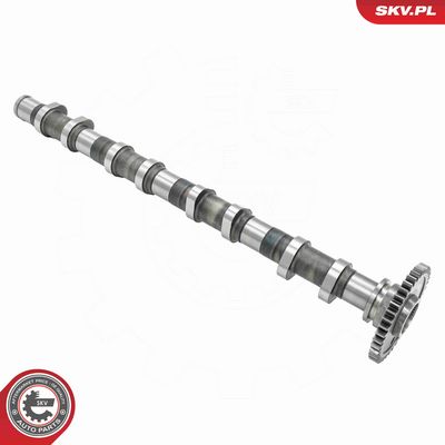 AX CU CAME ESEN SKV 80SKV013 1