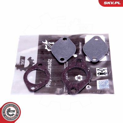 Remonto komplektas, AGR vožtuvas