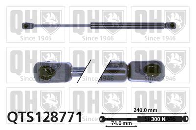 QUINTON HAZELL QTS128771 Амортизатор багажника и капота  для FIAT DOBLO (Фиат Добло)