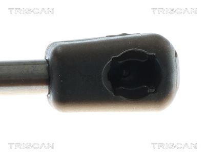 AMORTIZOR PORTBAGAJ TRISCAN 871081210 2