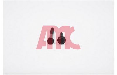 комплект болтове на капака на клап. (на цилиндровата глава) AMC 258109