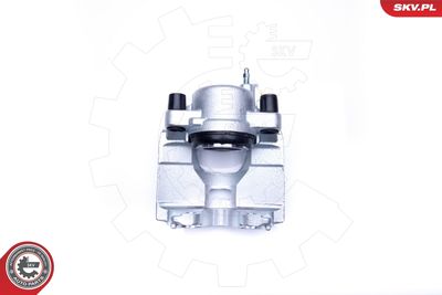 Brake Caliper 42SKV312