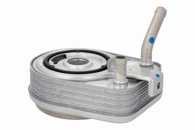 RADIATOR ULEI ULEI MOTOR ACKOJA A52600017 3