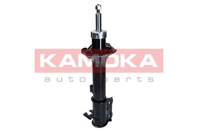 Shock Absorber 2001041