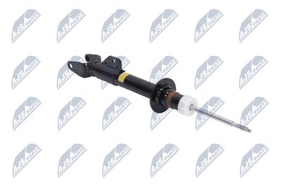 AMORTIZOR NTY ACH120 29