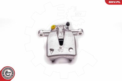 Brake Caliper 23SKV773