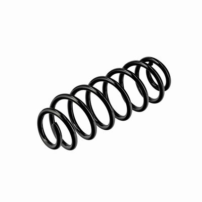 ARC SPIRAL EIBACH R10795 16