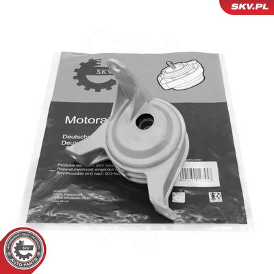 variklio montavimas 75SKV353 ESEN SKV