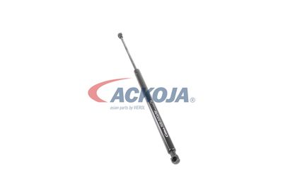 AMORTIZOR PORTBAGAJ ACKOJA A380127 47