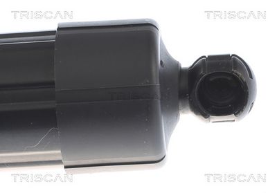 Plynárenská vzpera (pneumatická pružina), zavazadlový priestor TRISCAN 8710 27310