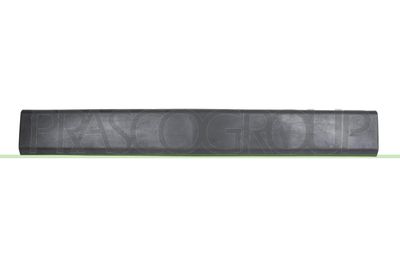 Ozdobná / ochranná lišta, dveře PRASCO RN9541454