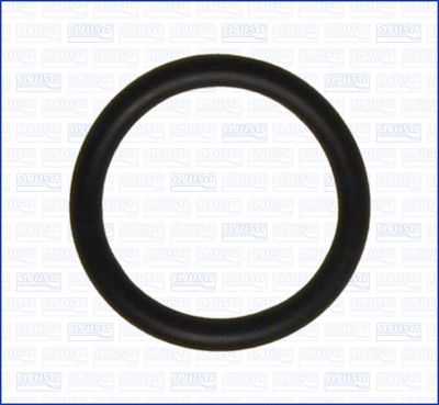 GARNITURA CONDUCTA LICHID DE RACIRE