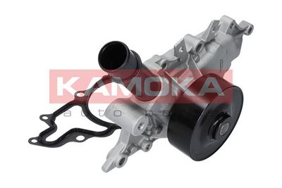 Water Pump, engine cooling T0198